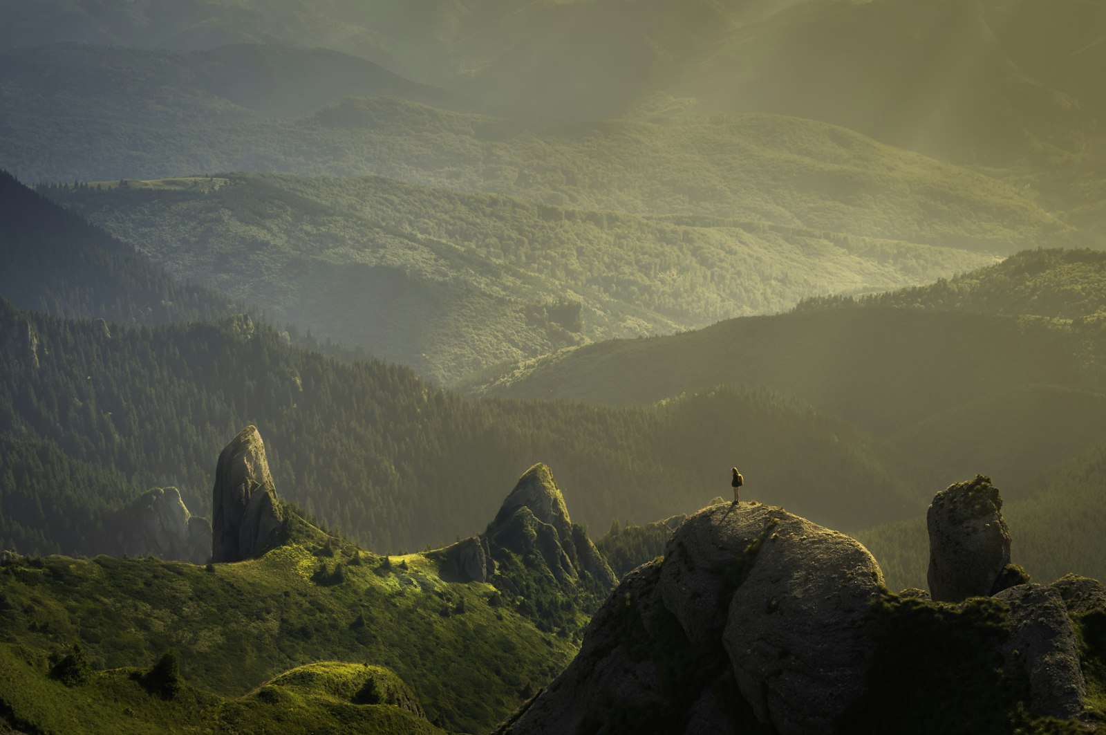 Mountain stream — a left-aligned figure-wrap at 45% width.